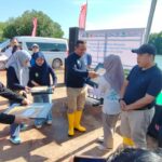 PT TJK Power employees and volunteers planting mangrove seedlings during a CSR activity to commemorate World Environment Day in collaboration with Akar Bhumi Indonesia.